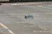 2ter_Clublauf_20040147